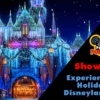 Disney Parks Podcast Show #530 – Experiencing The Holidays At Disneyland Resort