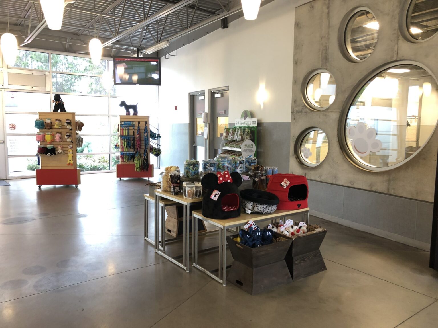 Bringing Your Pet to Disney World