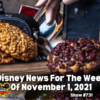 Disney Parks Podcast Show #731 - Disney News for the Week of Nov 1, 2021